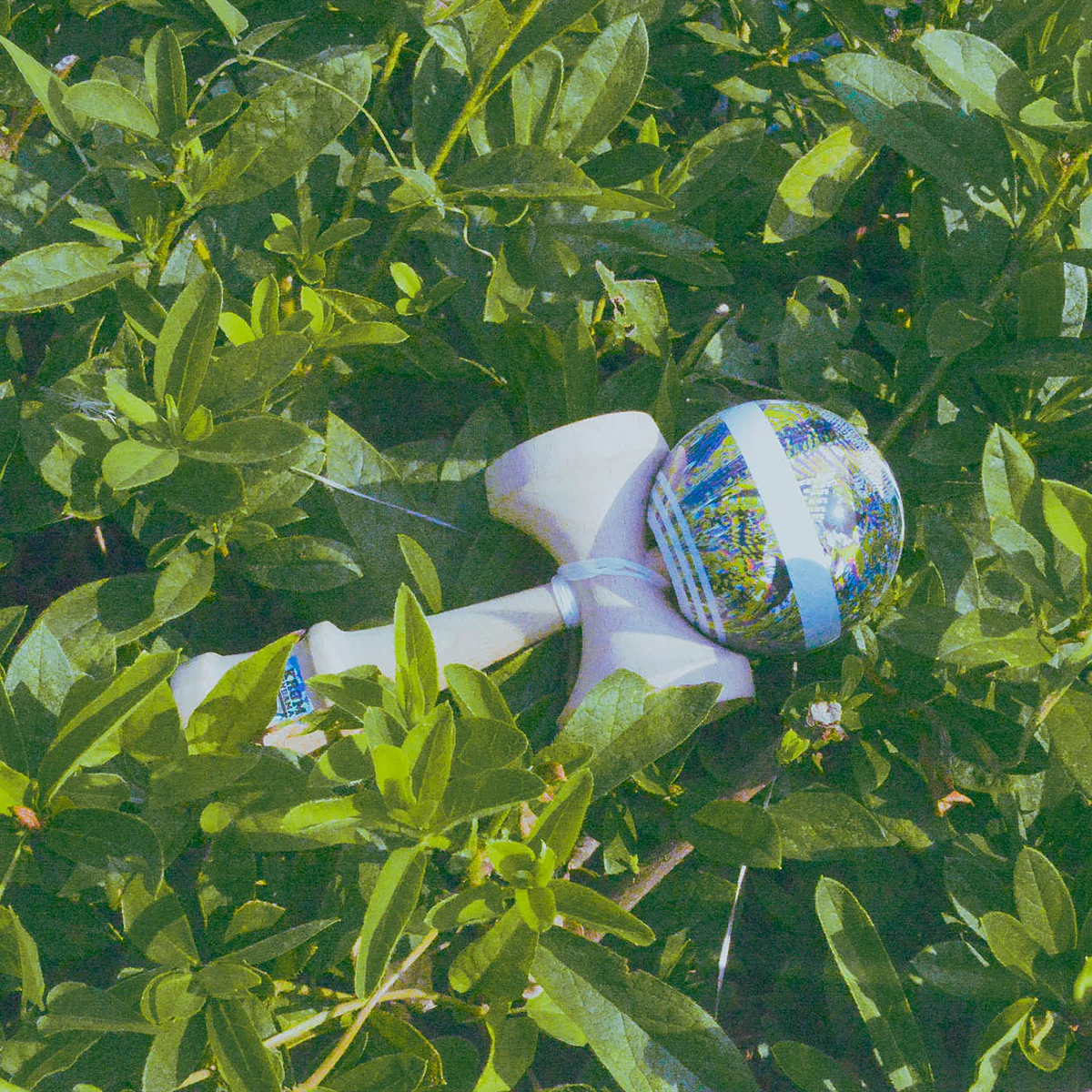 NOIA 6 - Image 7